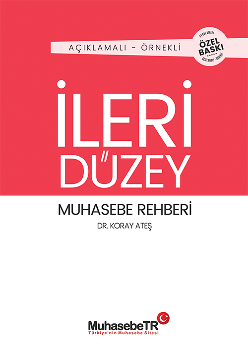 leri Dzey Muhasebe Rehberi Kitab