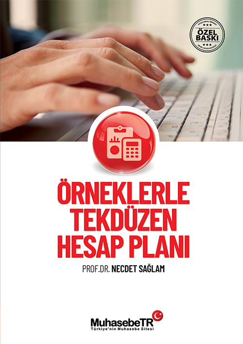 Bamsz Denetim Uygulama Rehberi Kitab